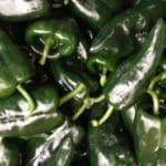 Poblano Peppers
