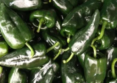 Poblano Peppers