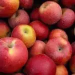 Apples