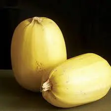 Spaghetti Squash