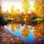 Fall Colors Along the Kettle River