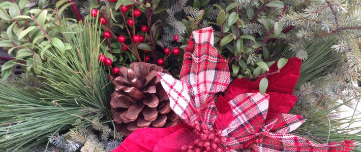 How to Assemble a Spruce Tip Pot Christmas 11-21-14 2014 (6)