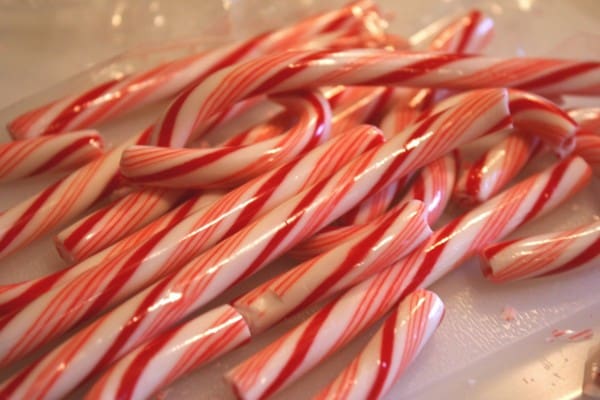 Crazy for Candy Canes