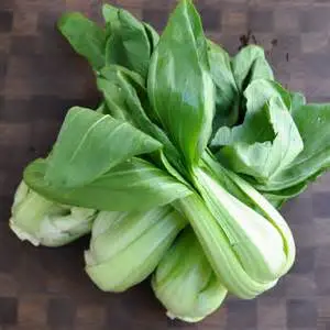 Bok Choy