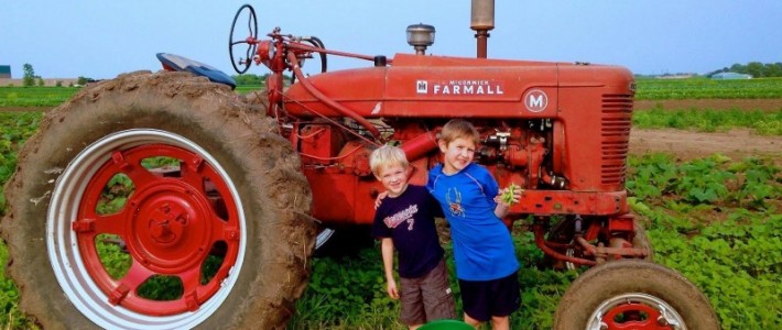Pea Picking Harvest Event Recap 2015 Pea Pick
