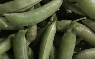 Sugar Snap Peas