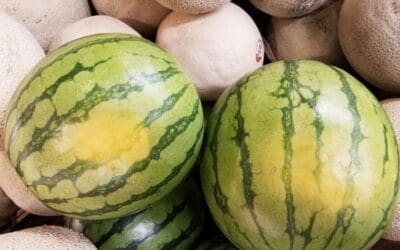 Watermelon or Cantaloupe