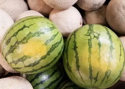Watermelon or Cantaloupe