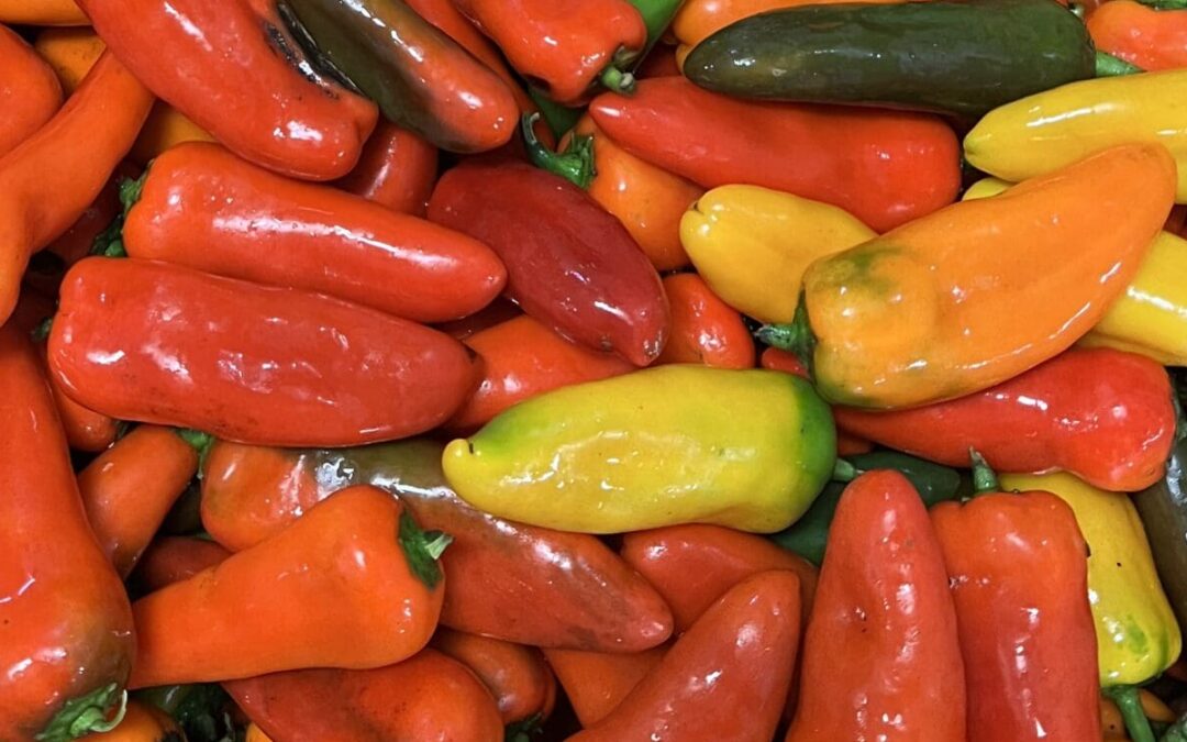 Mini Sweet Peppers