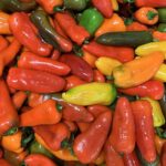 Mini Sweet Peppers
