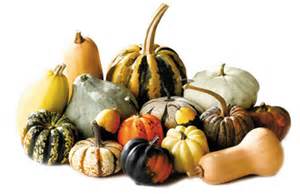 Edible Ornamental Squash