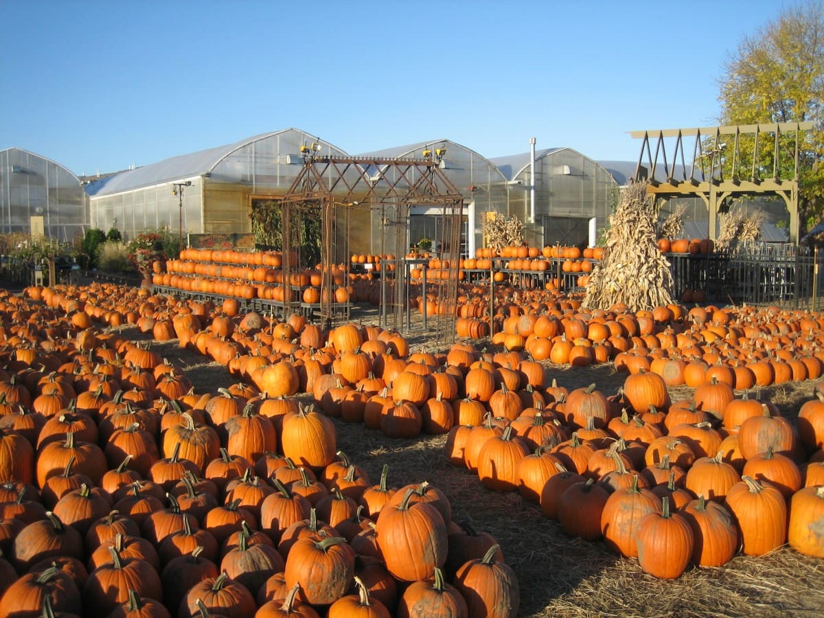 October at the Market