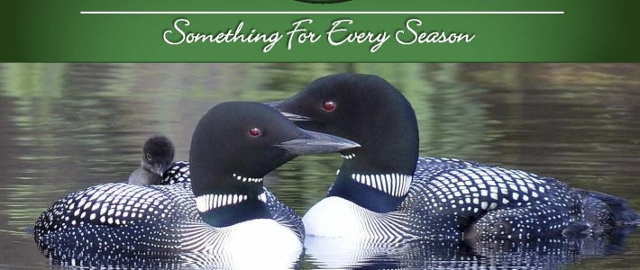 Pahl’s Annual “Something for Every Season” Photo Contest Calendar Front Cover