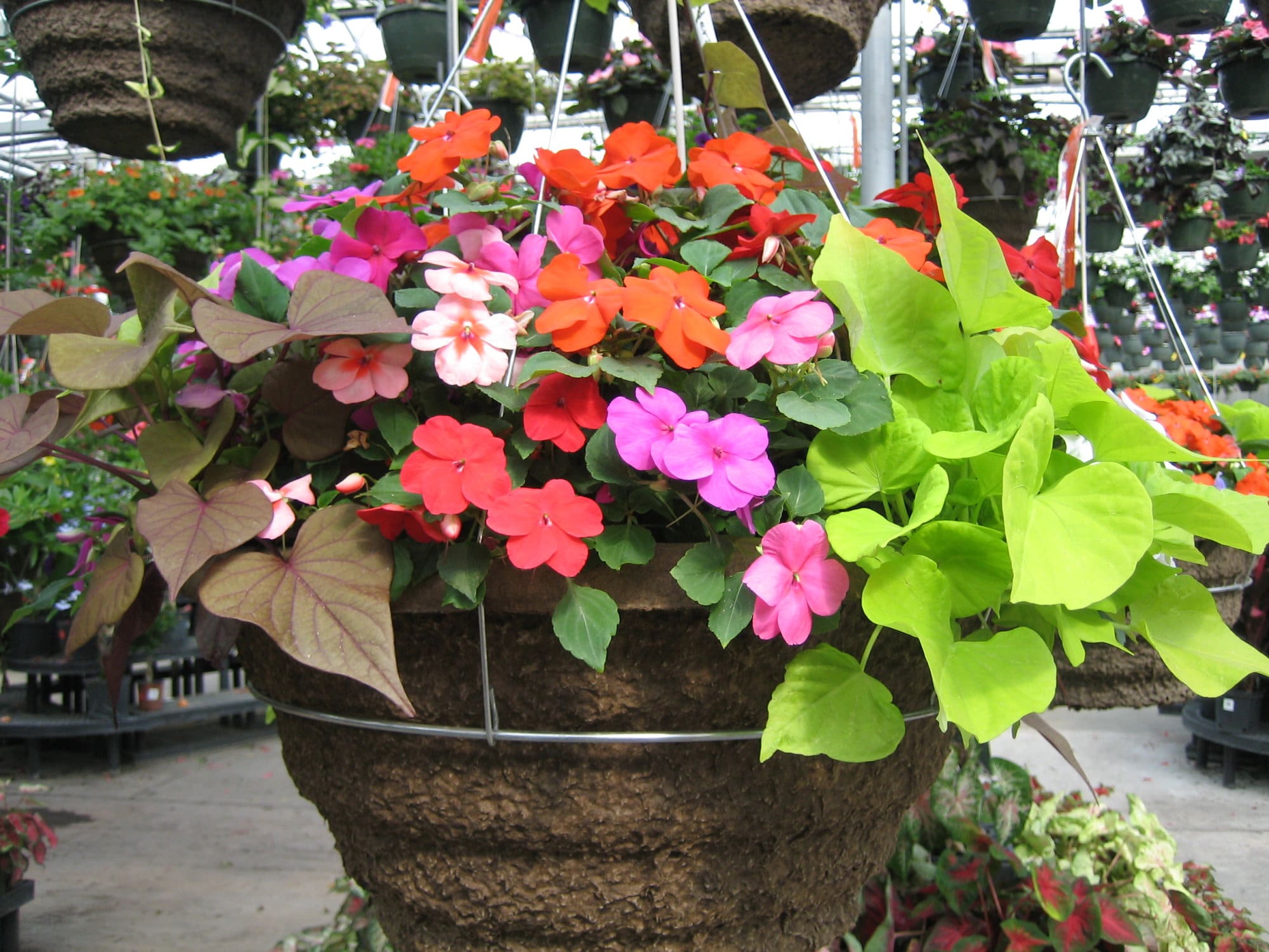 Moss Basket