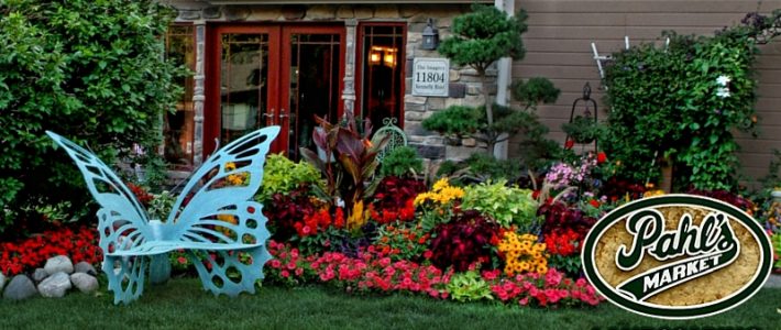 Apple Valley Landscaping Testimonial Landscaping in Apple Valley