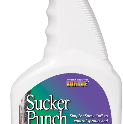 Bonide Sucker Punch