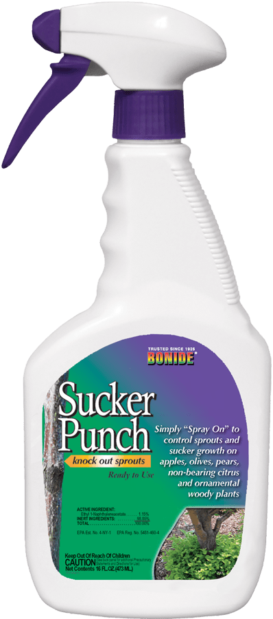 Bonide Sucker Punch