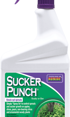 Bonide Sucker Punch