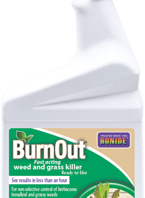Bonide Burnout Weed & Grass Killer