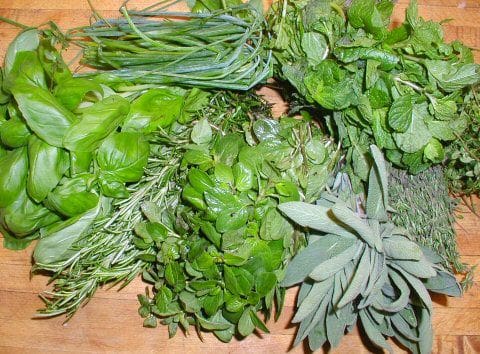 Assorted Cooking Herbs