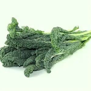 Kale or Tuscan Kale