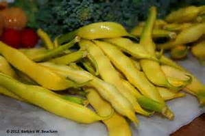 Wax or Green Beans