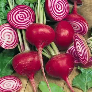 Chioggia Guardsmark Beets