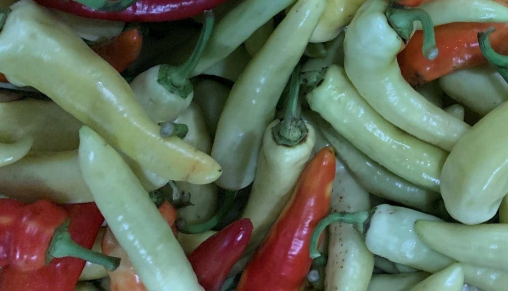 Sweet Peppers or Banana Peppers