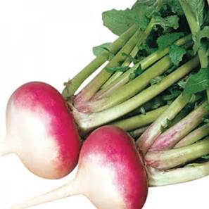 Royal Crown Turnips