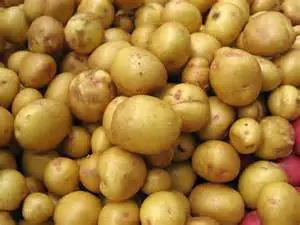 Yukon Gold Potatoes