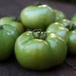 Red or Green Tomatoes