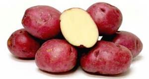 red-potatoes