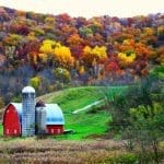 Late Fall Colors on the Farm