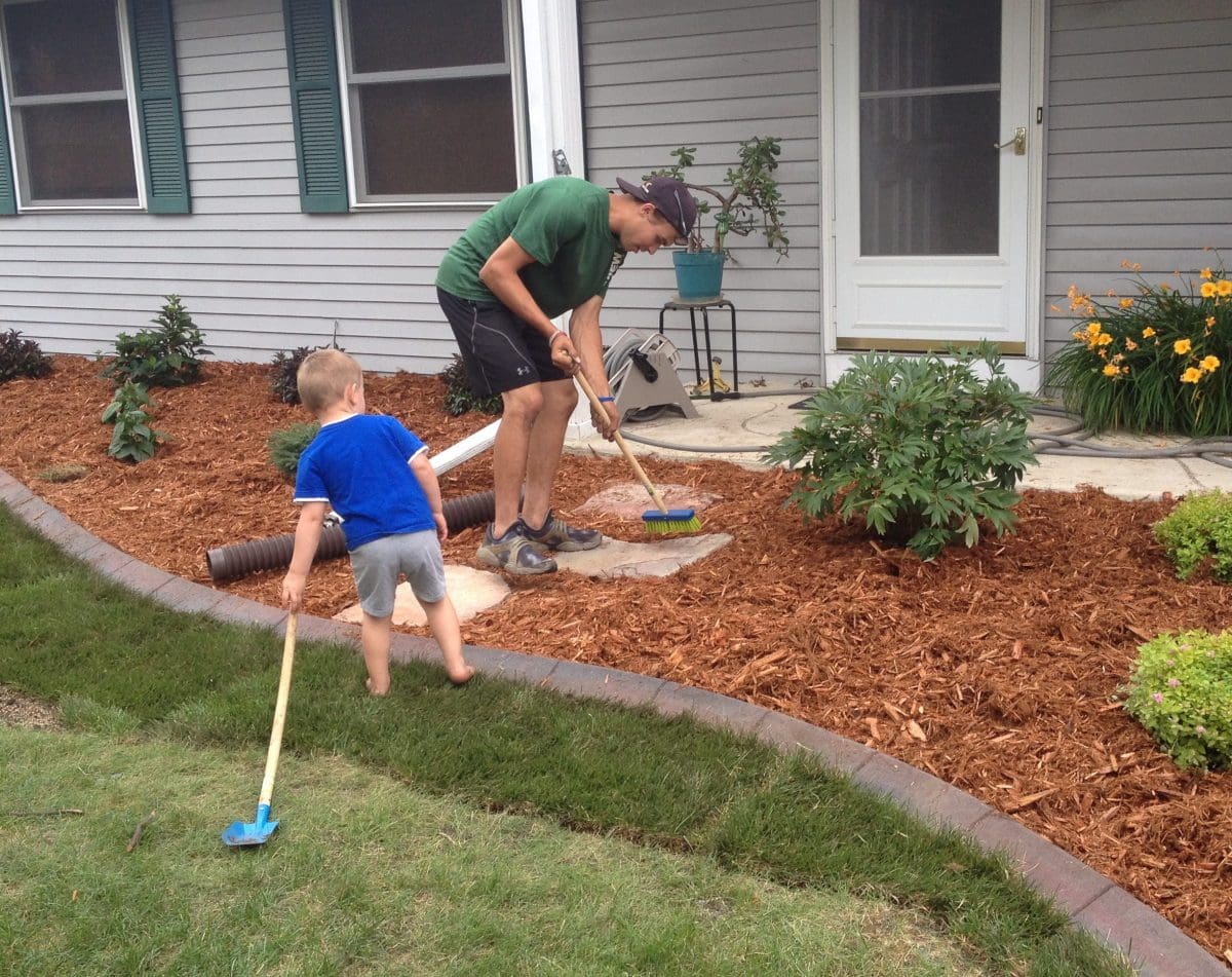 The Beauty of Mulch