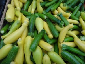 Yellow Squash or Zucchini