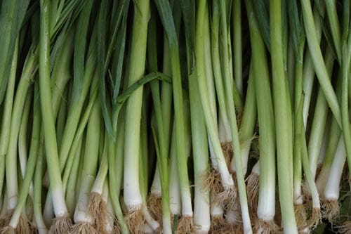 Leeks