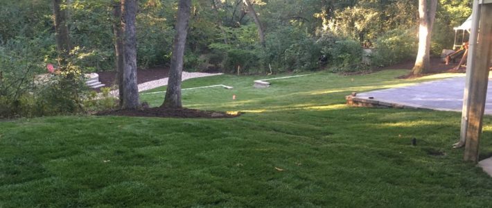 Warm Up Your Fall Fresh Sod