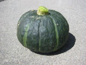 Kabocha