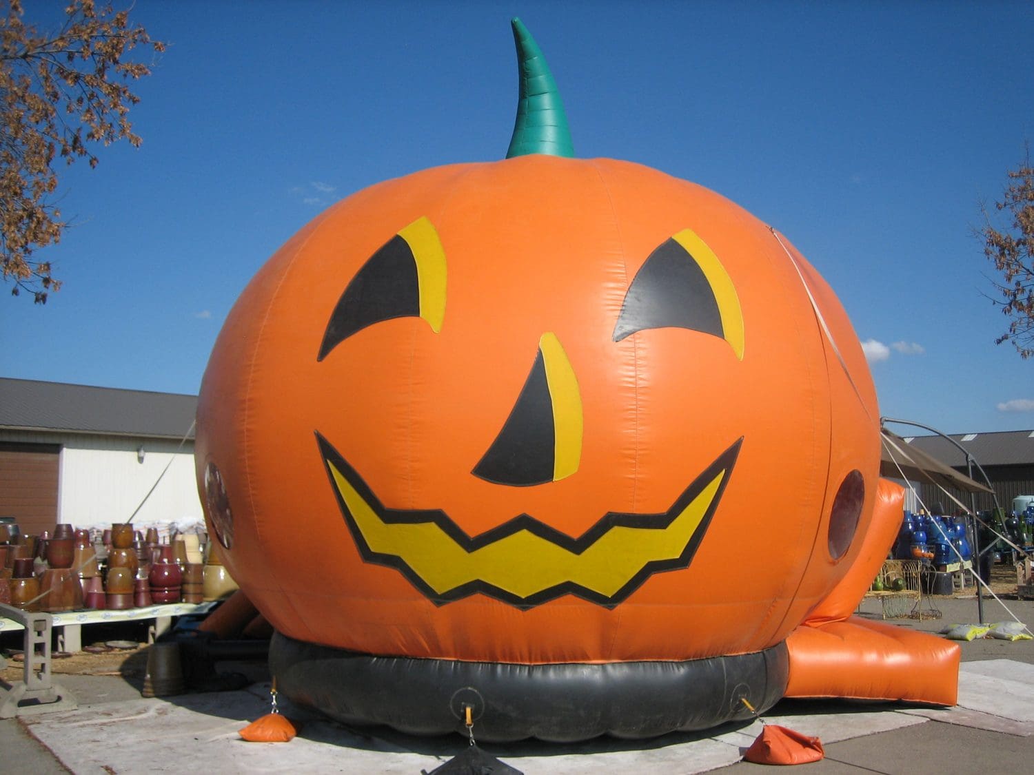 Featured Employee:  Bouncy Pumpkin