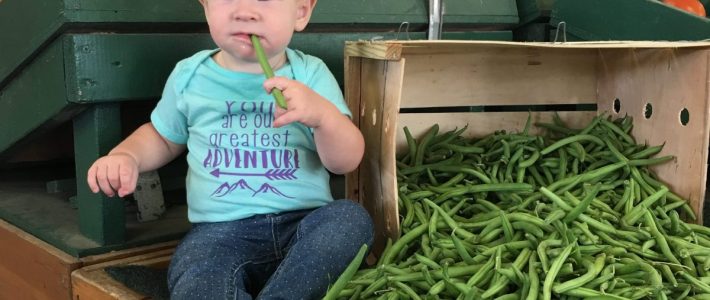 Start Them Young Green Bean Grace