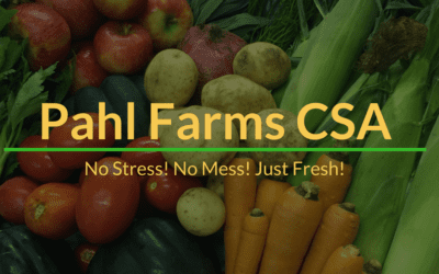 2018 CSA Season