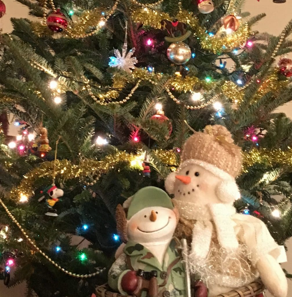 Outdoor Living, Décor & More Pahl's Market Apple Valley, MN