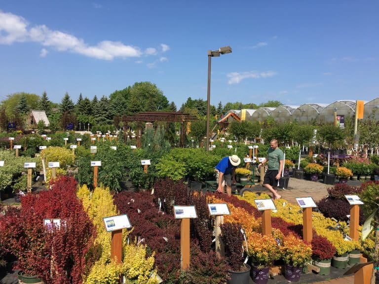 Pahl's Market Garden Center, Greenhouse, Nursery and More Apple
