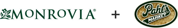 Monrovia Monrovia