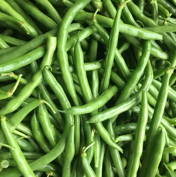 Green Beans