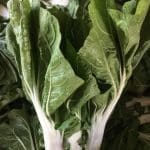 Bok Choi