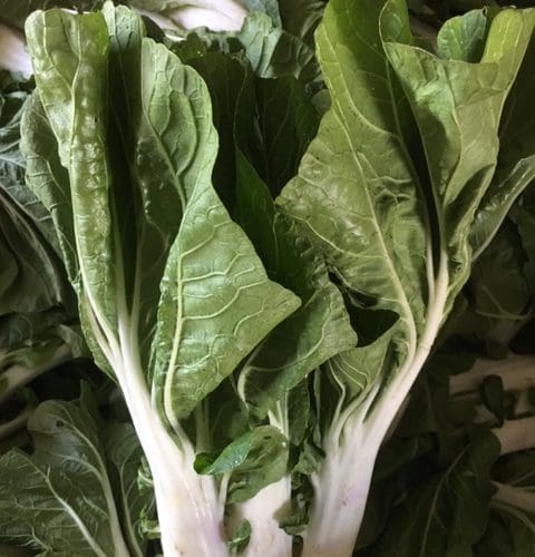 Pak Choi