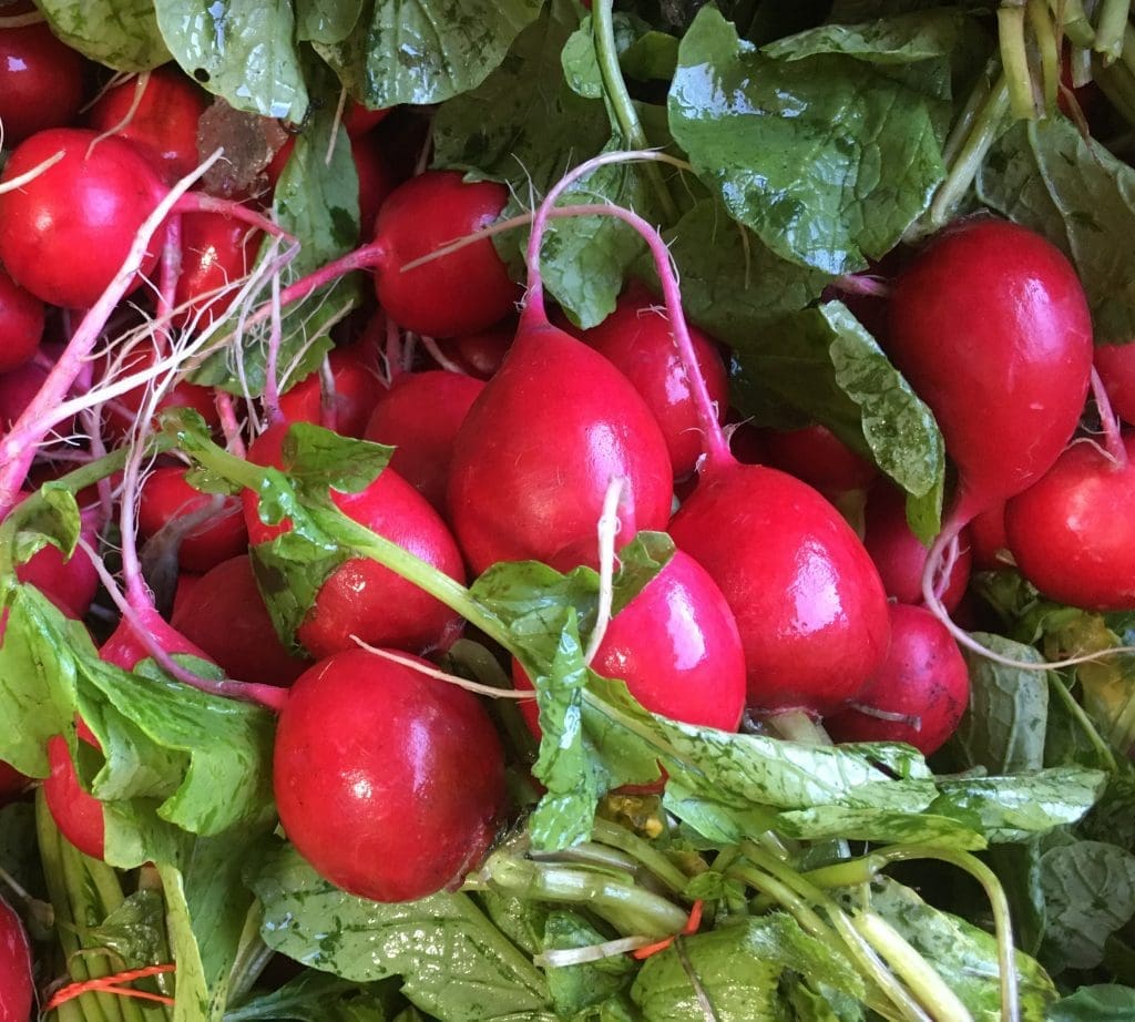 Radishes