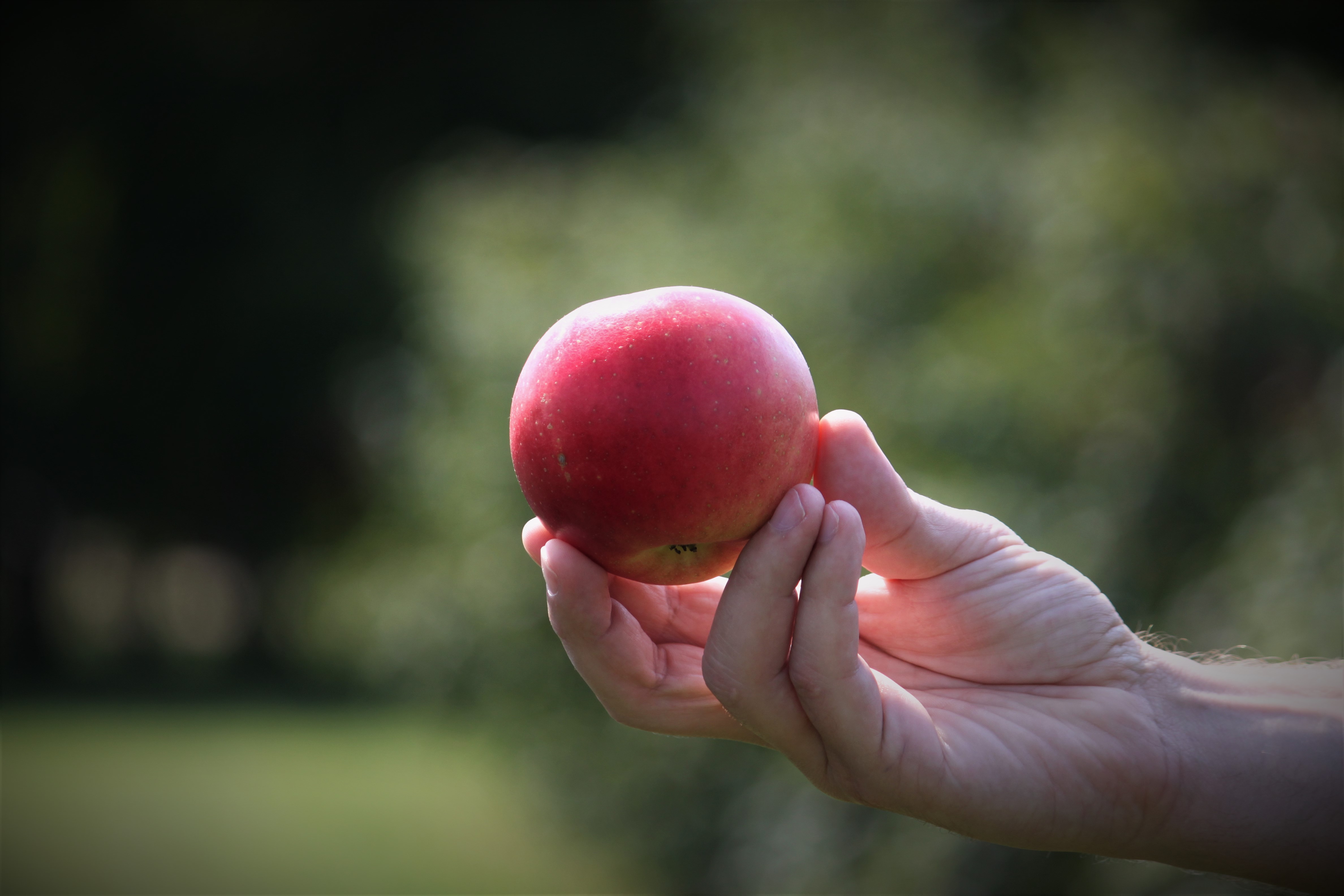 new homes in lakeville mn