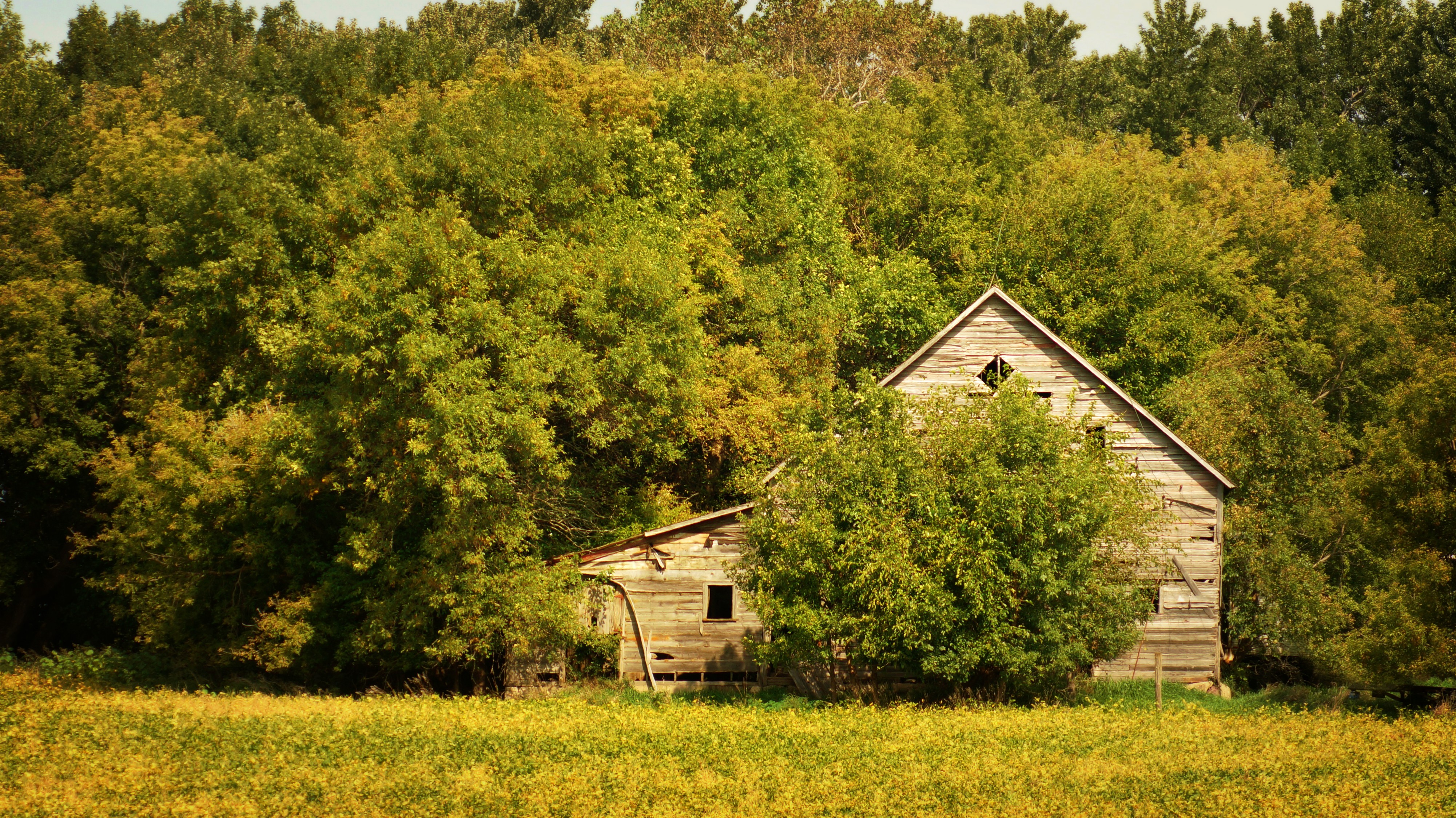Forgotten Farm Pahl S Market Apple Valley Mn